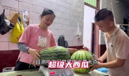 金乡最新大瓜爆料新闻,揭秘惊人内幕，震惊全城！